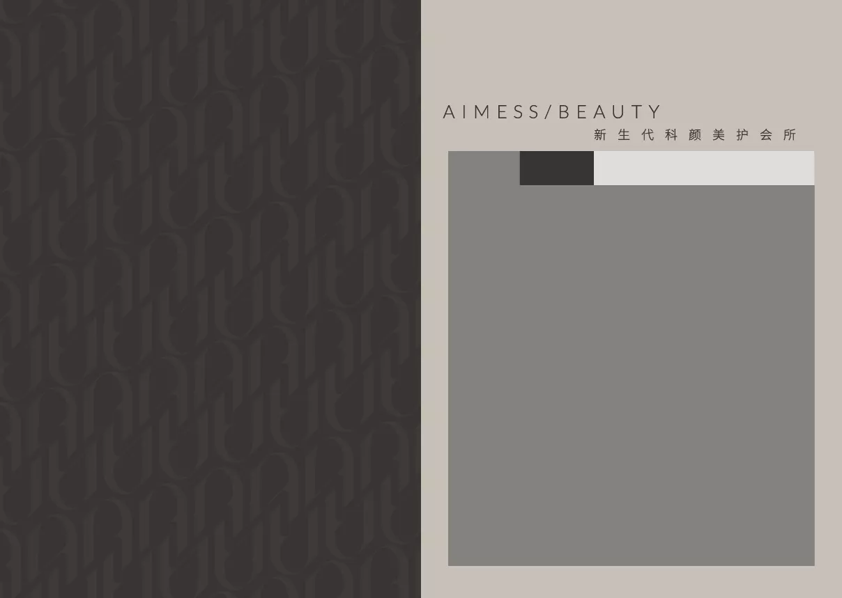 aimess 品牌手册 转曲-02.jpg
