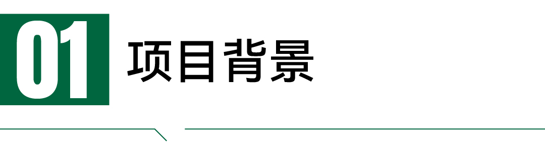 成霖-案例配图_画板 1.jpg